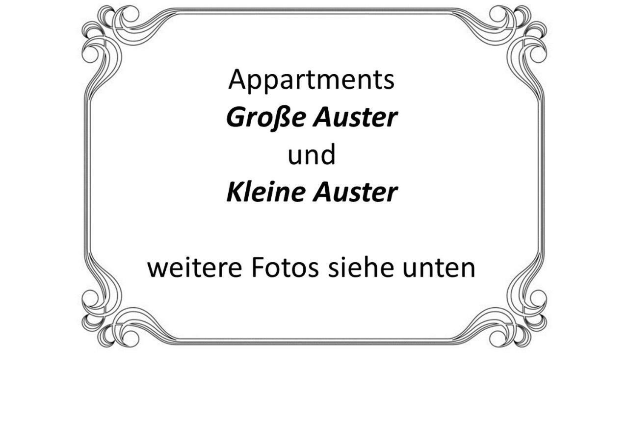 Auster-Appartements Saarbruecken Ngoại thất bức ảnh